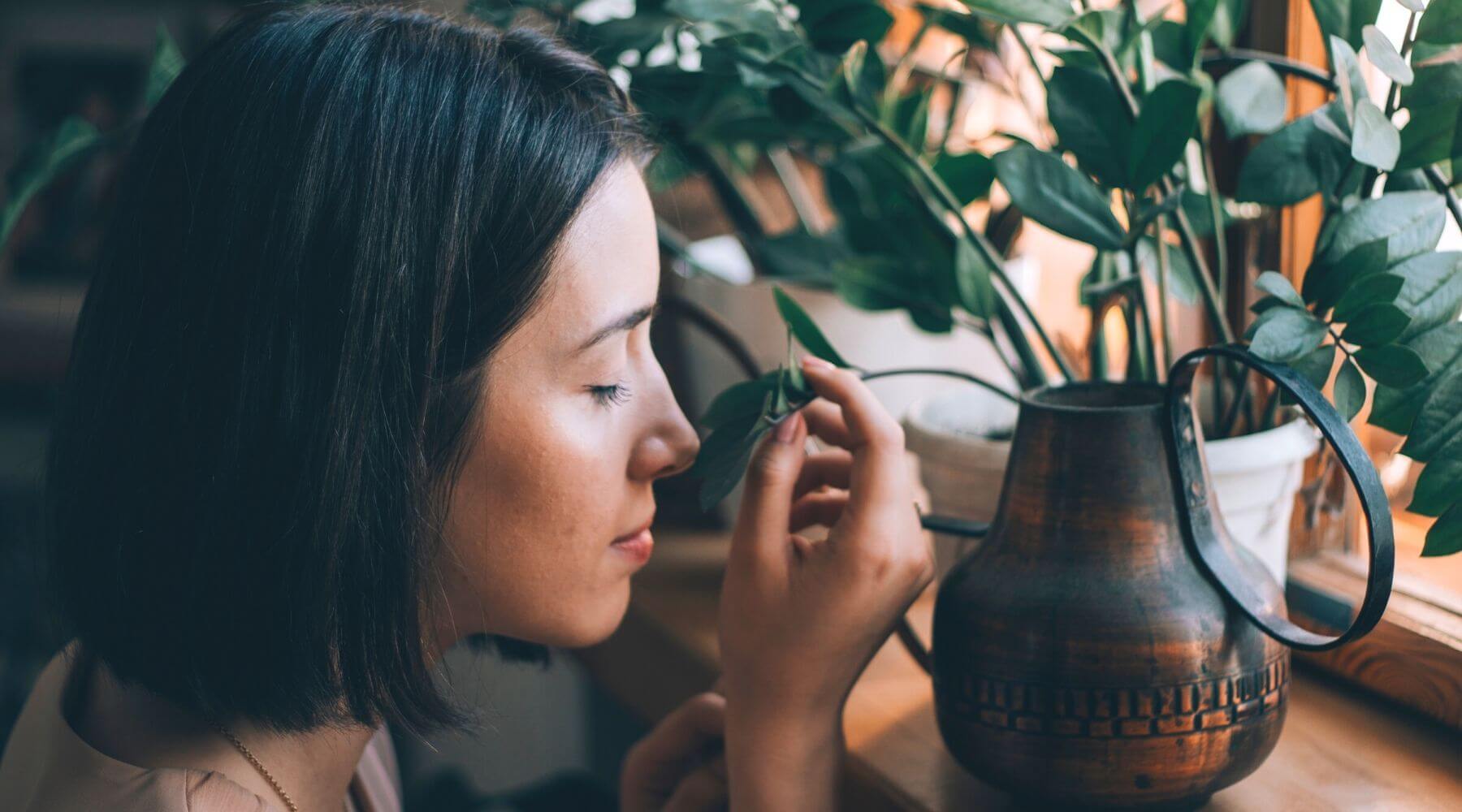 What are air purifiers used for? What they do and how they help