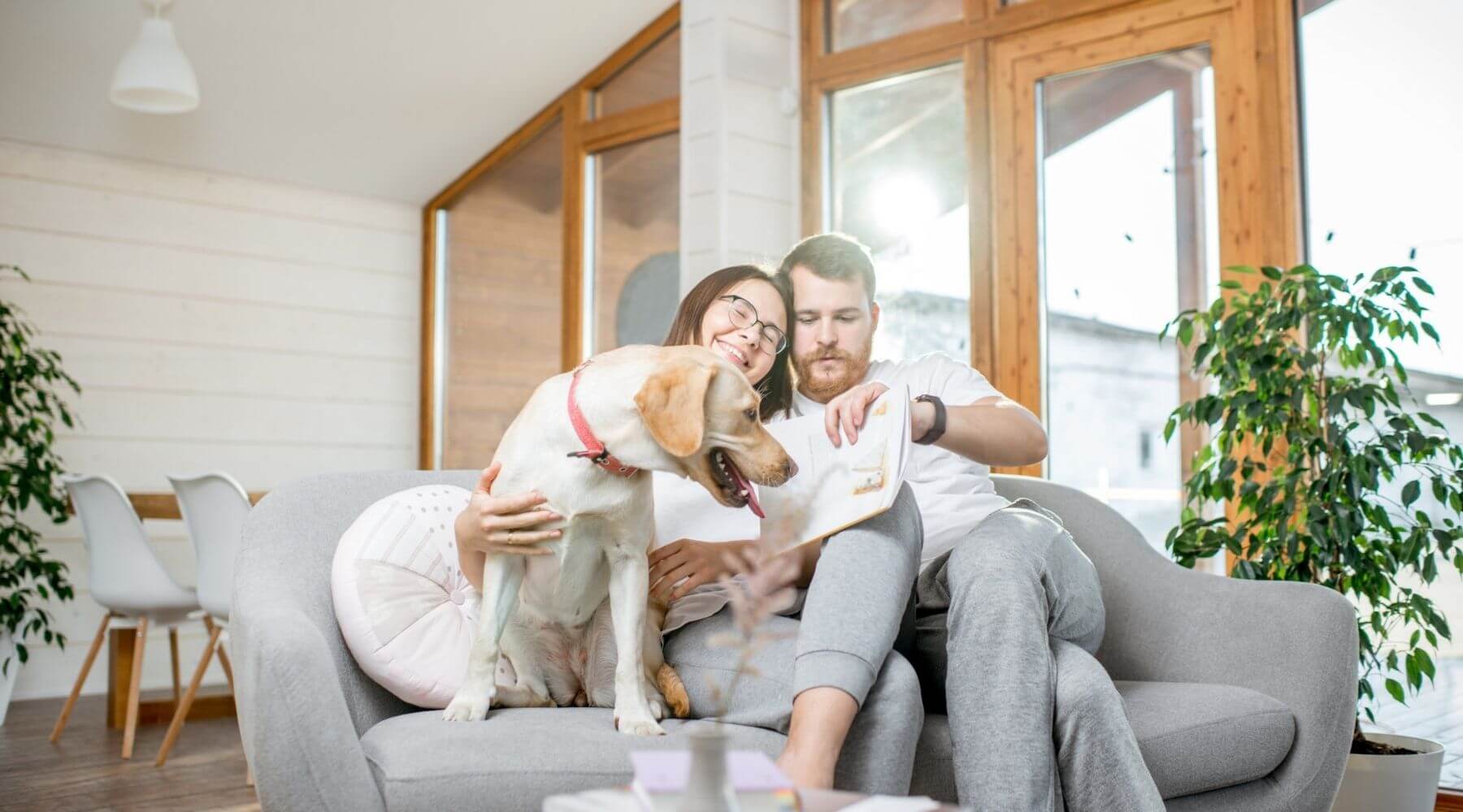 Air purifier usage: when, where and how long to use