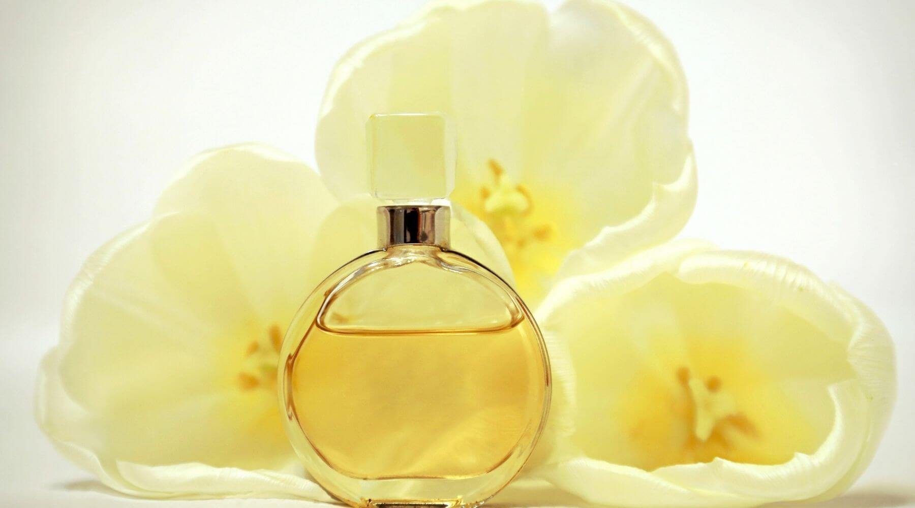 What is aromatherapy: facts and uses. Aromatherapy oils 