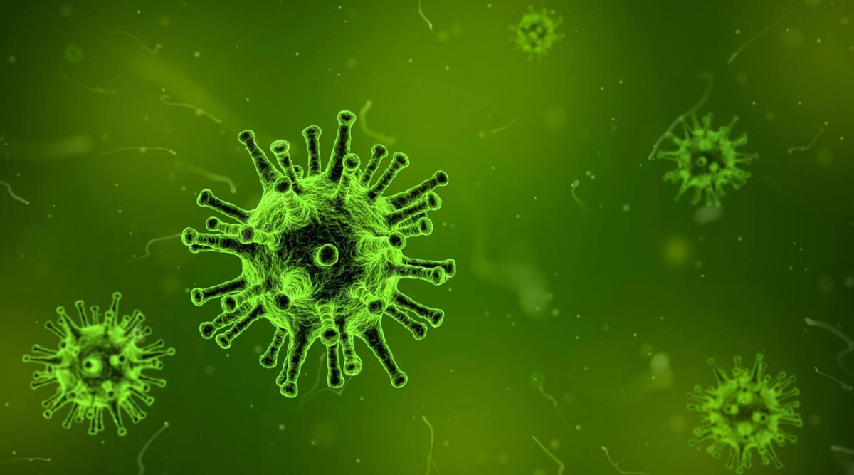 Humidity and viruses: what you need to know – Geniani