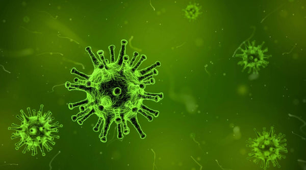 Humidity and viruses: what you need to know 