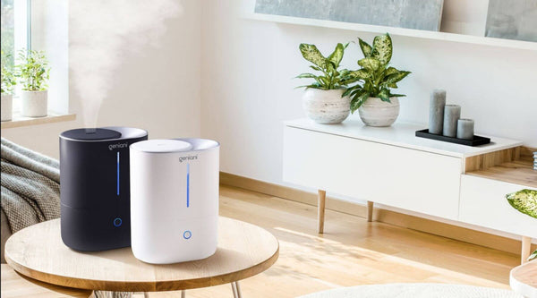 Humidifier 4 L: everything you need to know 