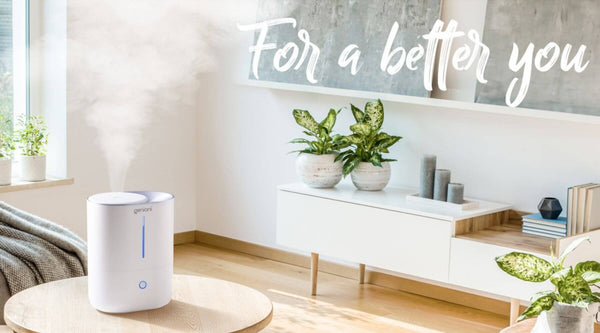 Where to put your humidifier: 10 tips to find the best placement for your stuff 