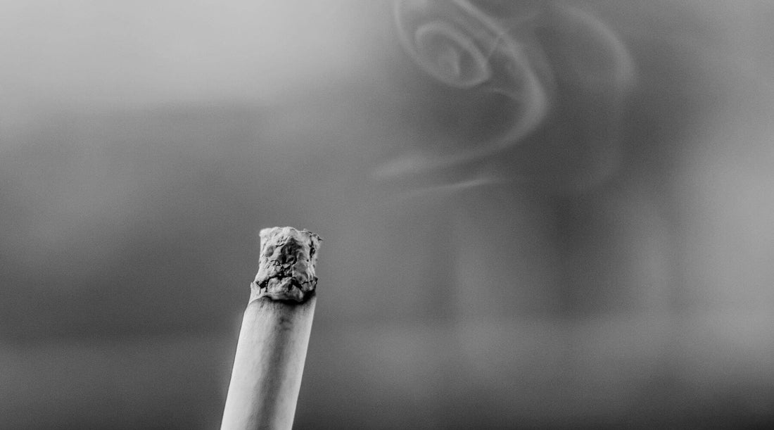 How to get smoke cigarettes smell out of the house: 7 tips from experts 