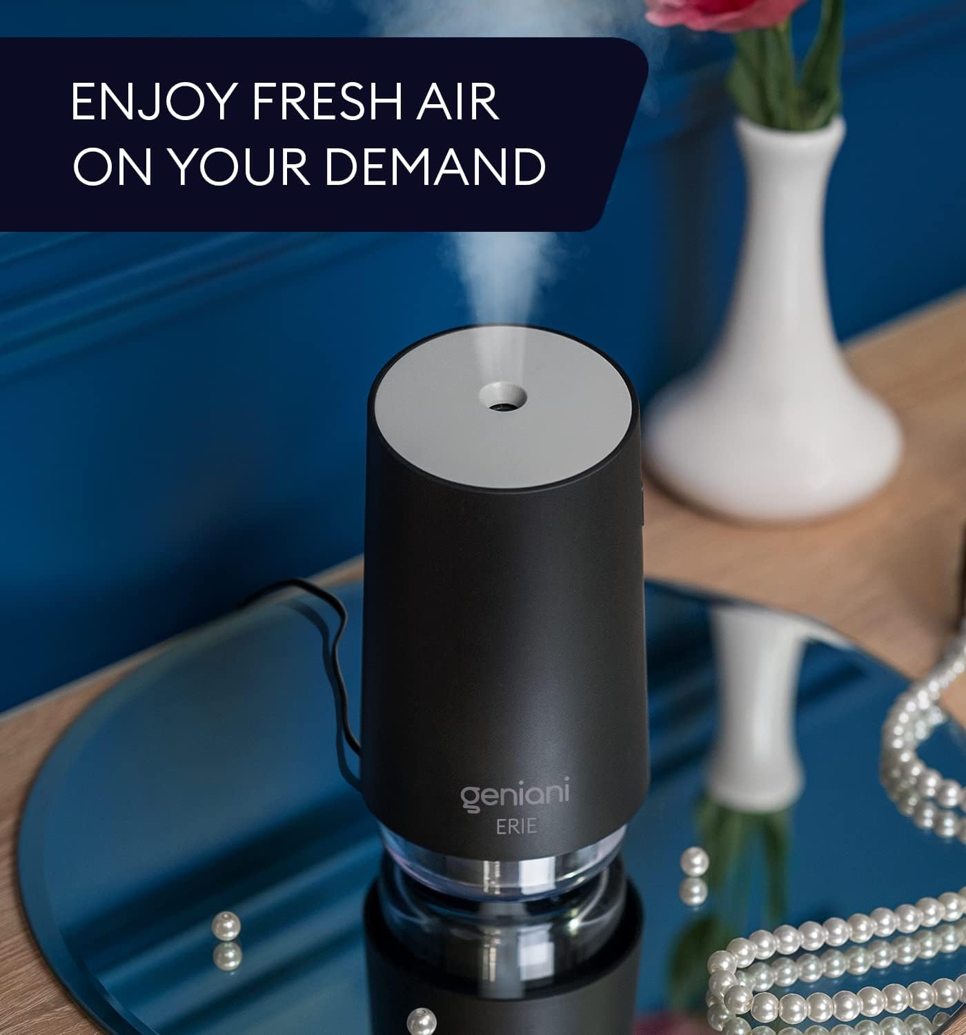 Erie Portable Small Cool Mist Humidifier 250ML Black