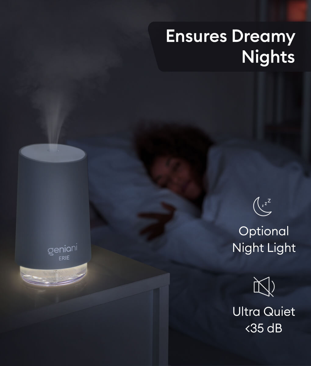 Geniani Erie Small Portable Travel Air Humidifier 250 ml Gray