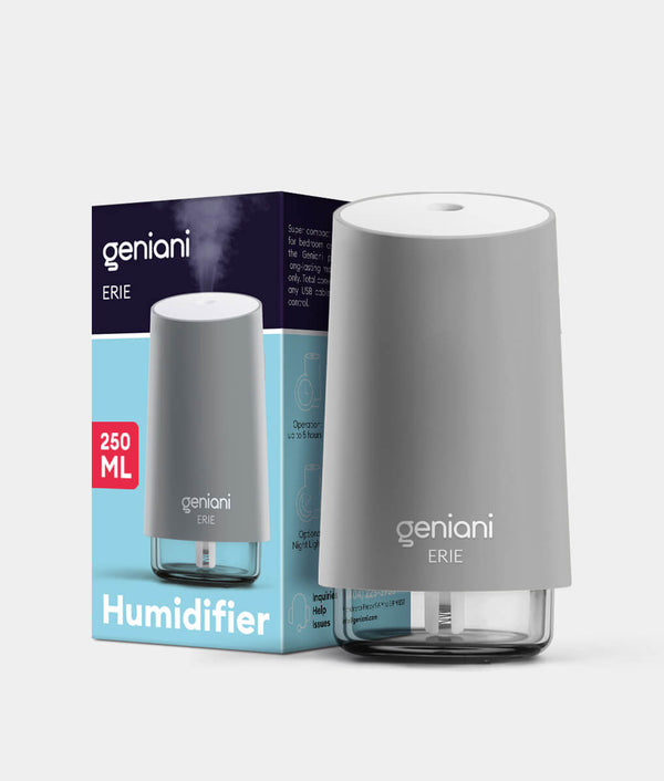 Erie Portable Small Cool Mist Humidifier 250ML Gray