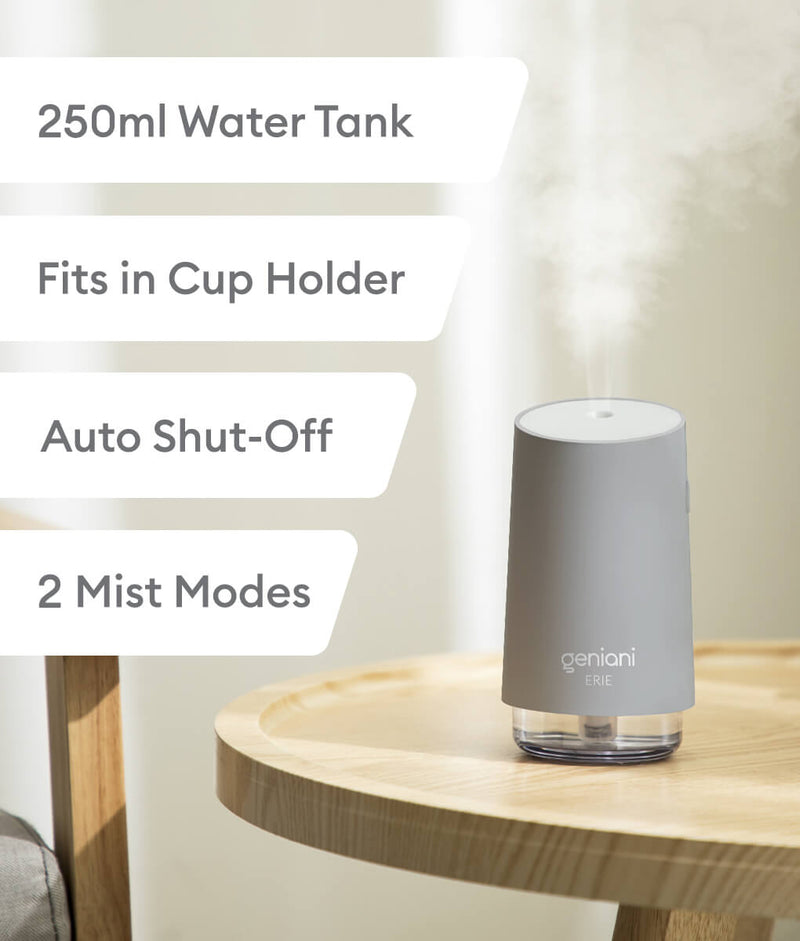 Get Dreamzy Humidifier Now!